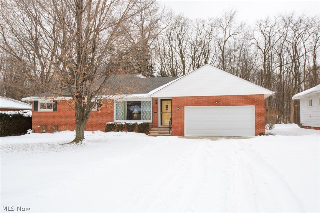 Pacini - Residential