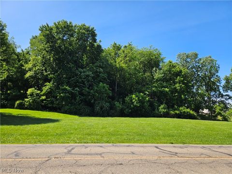 Vacant Land For Sale - Pleasant Valley Drive<br/> Coshocton County, Coshocton, OH 43812