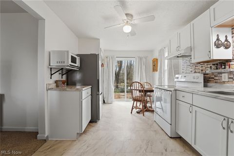 Tiny photo for 6279 Allyn Road, Hiram, OH 44234 (MLS # 5194847)