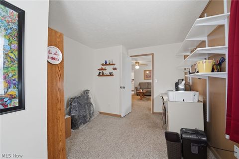 Tiny photo for 6279 Allyn Road, Hiram, OH 44234 (MLS # 5194847)