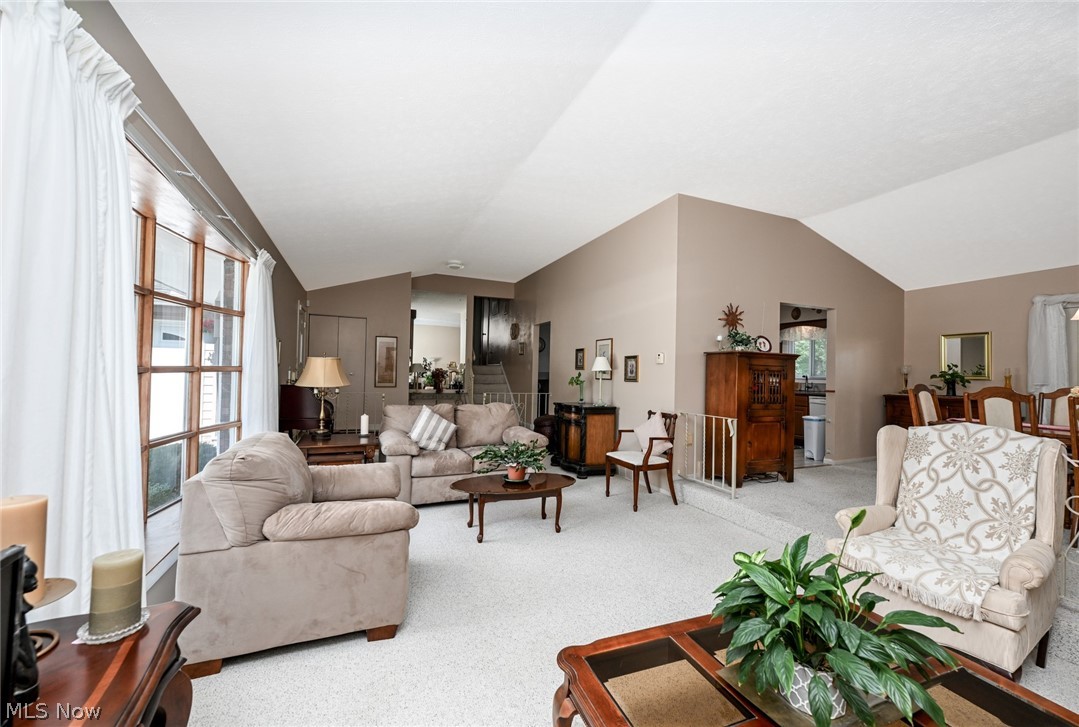 Cricket Lane - Residential