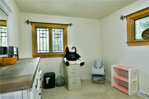 Tiny photo for 907 Center Street E, Warren, OH 44481 (MLS # 5239701)