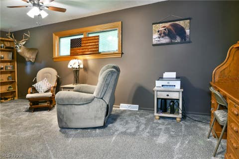 Tiny photo for 907 Center Street E, Warren, OH 44481 (MLS # 5239701)