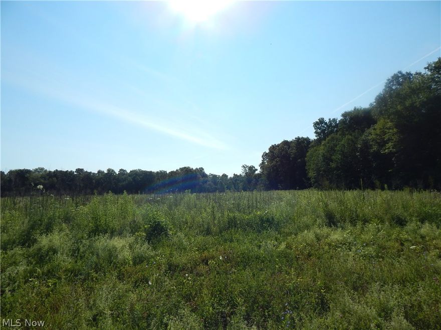 Great scenic building site on a quiet country road.  If you are wanting to get away from the city, this is the place for you.