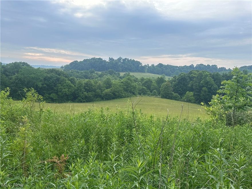 This 31.048 acre lot is a nature lover's dream! With half of the land wooded and the other half open, you'll be able to enjoy the beautiful Ohio scenery and wildlife in peace and quiet. It's located near AEP Recreation area, so you'll have plenty of opportunities for outdoor activities. The lot is located in a great neighborhood with easy access to local amenities. The property also features a perfect homesite, making it perfect for those who want to build their dream home.