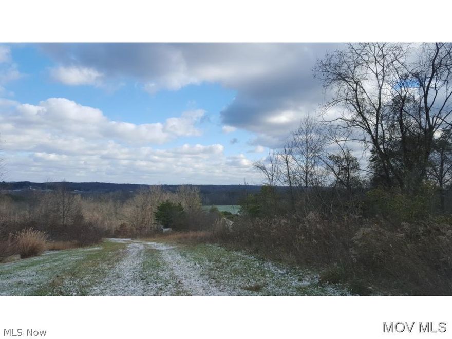 Beautiful piece of ground with boundless potential for mini farm to a subdivision.  Elem: Warren Elementary School  Elem/Bus: Y  JrHigh: Warren Middle  JrHigh/Bus: Y  High: Warren High School  High/Bus: Y  Fire: VOL  Police: SHF  PossFreeGas: Y