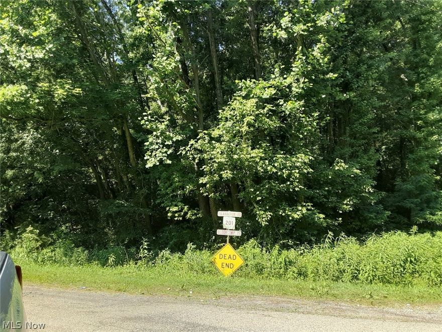 Looking for a place to get-a-way and relax or maybe build that perfect hunting retreat? Well, here it is. Mostly wooded. Call today and make your dreams come true.