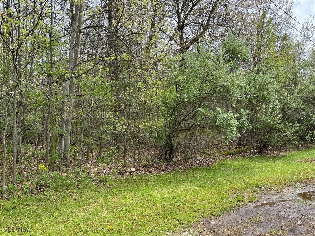 Navajo Trail, Malvern, Ohio image 4