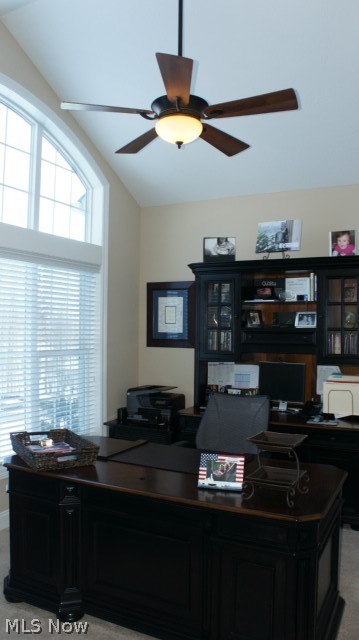 Mountainside Farms - Residential