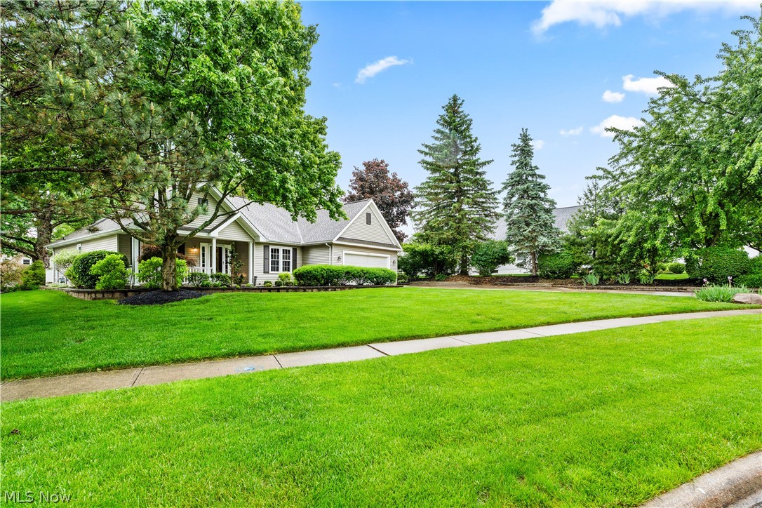 4202 Shenandoah