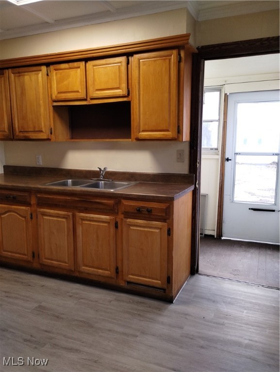 George Borts - Residential Lease