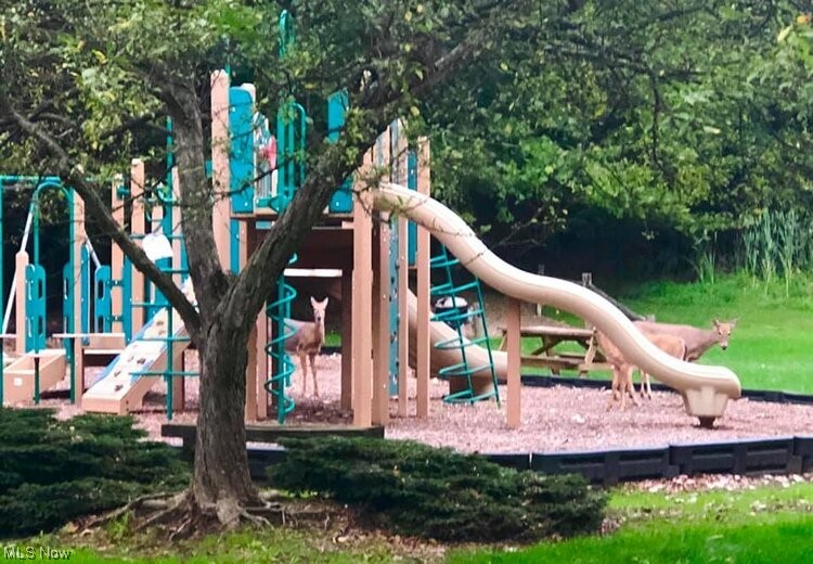 Iyami Condos - Residential