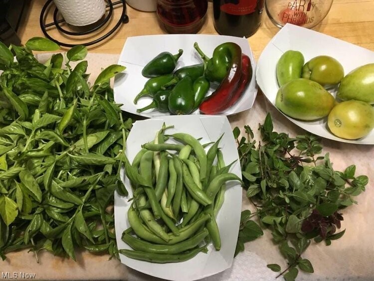 Iyami Condos - Residential