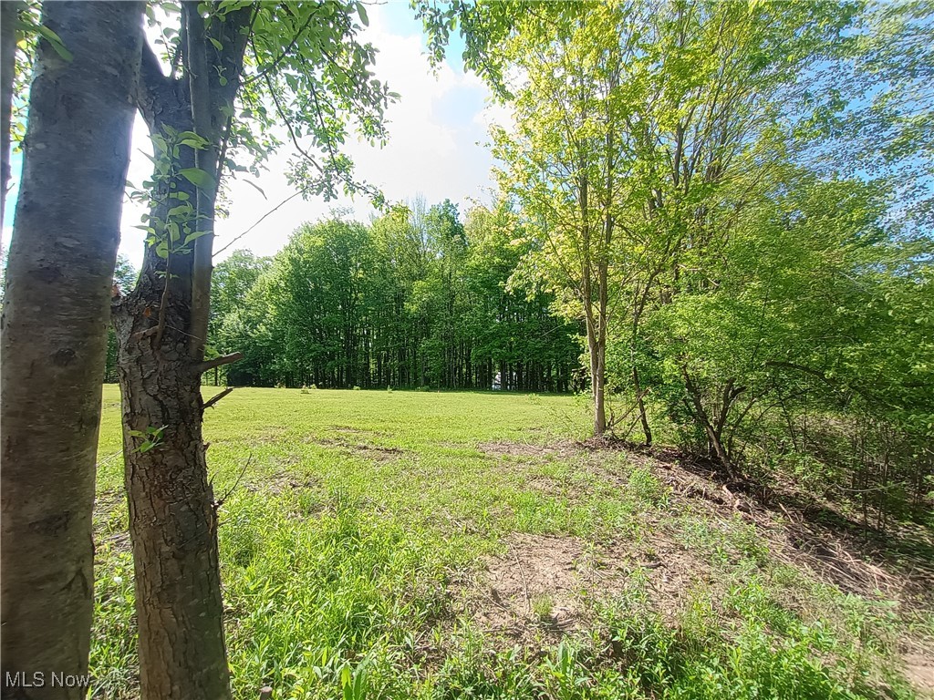 10606 Sherman Road, Chardon, Ohio image 3