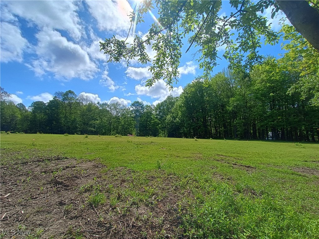 10606 Sherman Road, Chardon, Ohio image 2