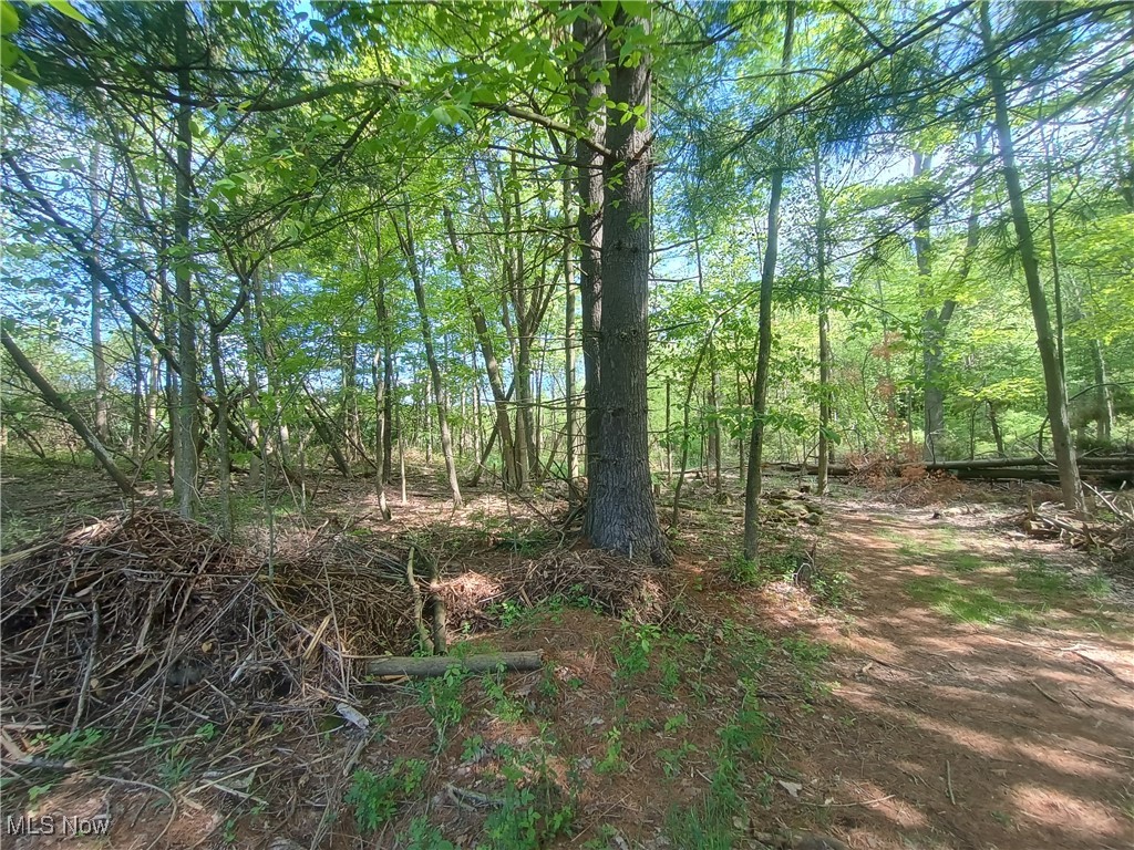 10606 Sherman Road, Chardon, Ohio image 14