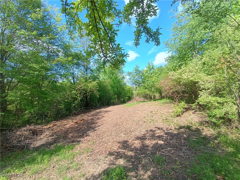 10606 Sherman Road, Chardon, Ohio image 15