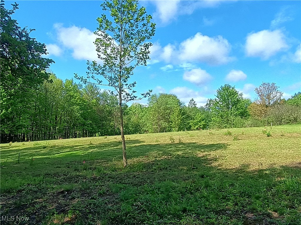 10606 Sherman Road, Chardon, Ohio image 10