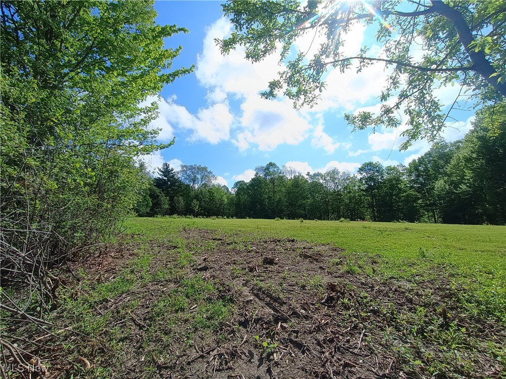 10606 Sherman Road, Chardon, Ohio image 13