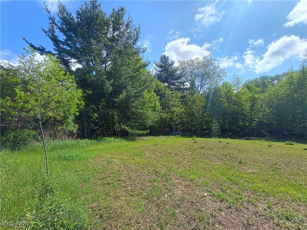 10606 Sherman Road, Chardon, Ohio image 12
