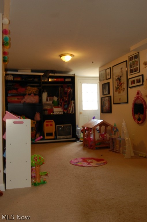 Hohmans Long Lake Channel - Residential