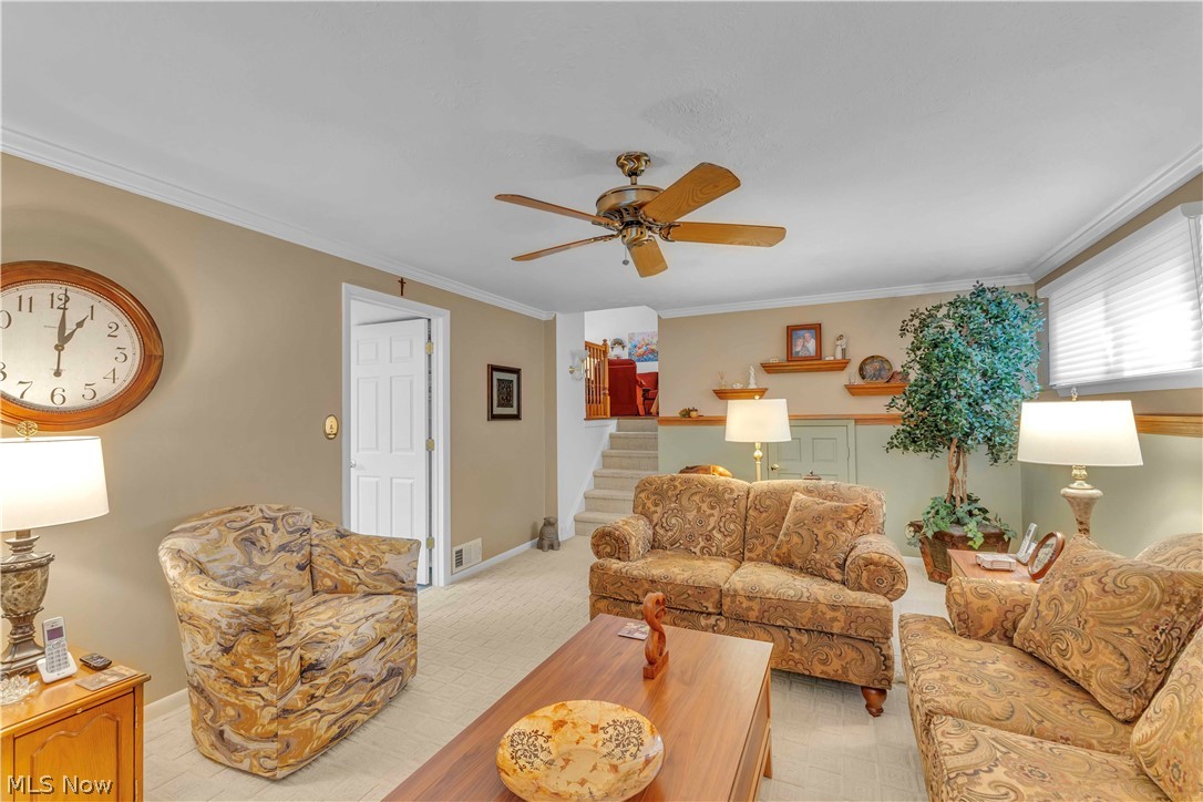 Treelane - Residential