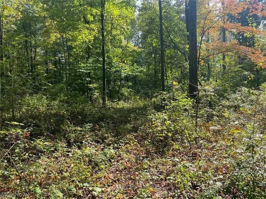 These properties need to be sold together without minerals. This "retreat" property offers wildlife and nature. Great recreational land for your friends and family!