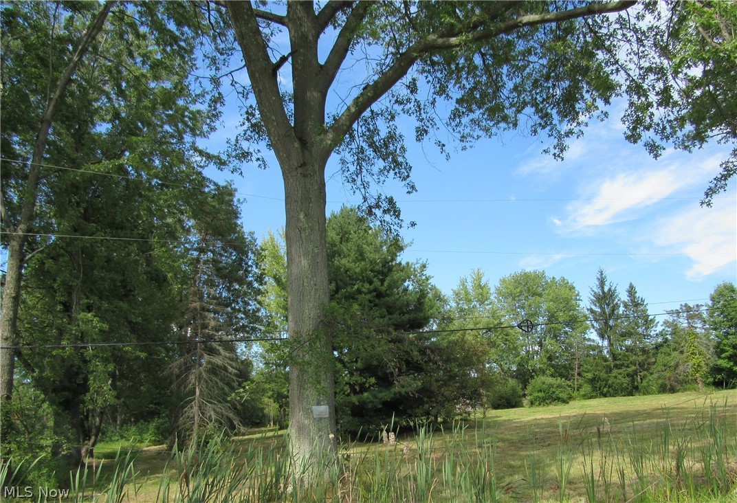 Township/Champion Sec 109 Orig - Land