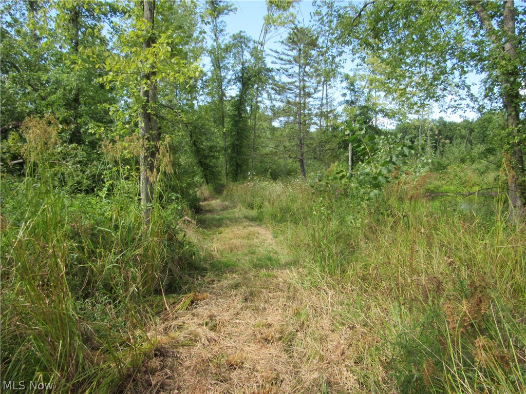 Township/Champion Sec 109 Orig - Land