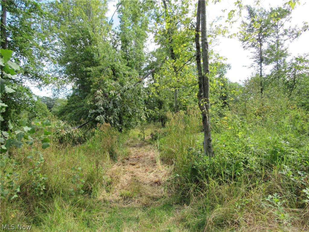 Township/Champion Sec 109 Orig - Land