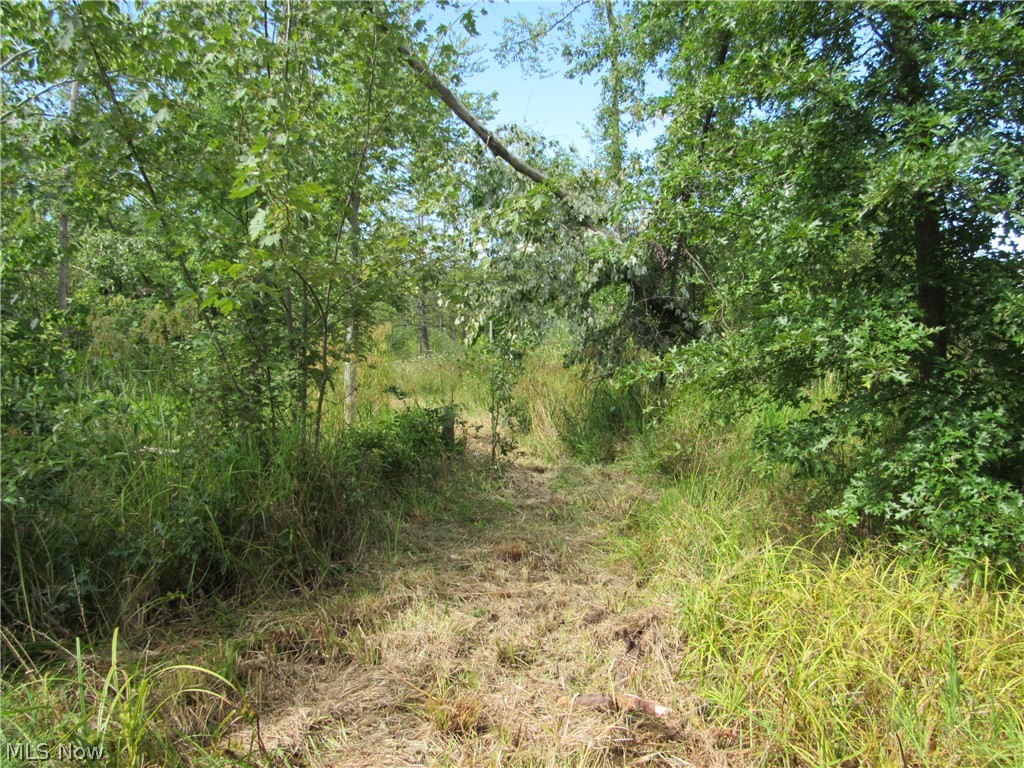 Township/Champion Sec 109 Orig - Land