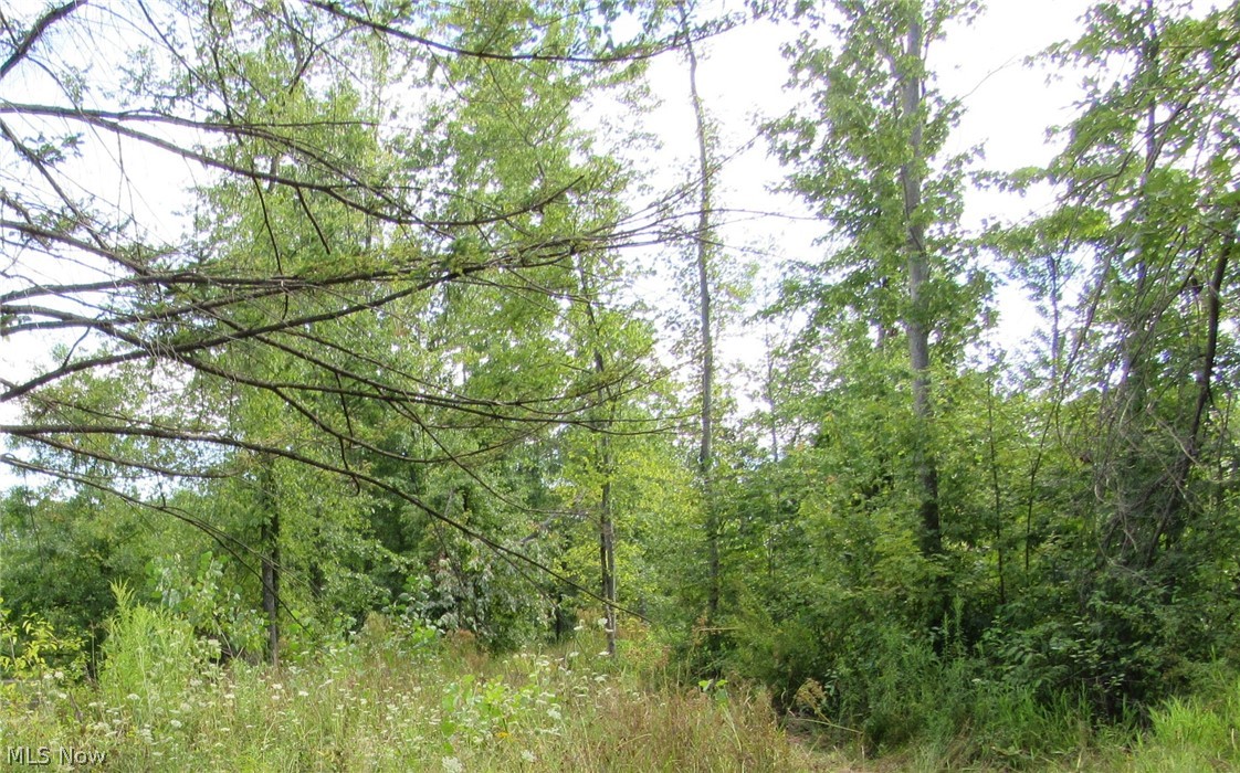 Township/Champion Sec 109 Orig - Land