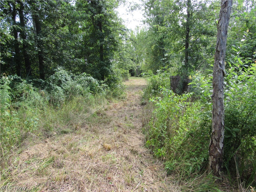 Township/Champion Sec 109 Orig - Land