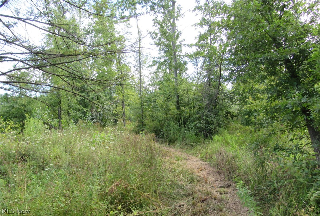 Township/Champion Sec 109 Orig - Land