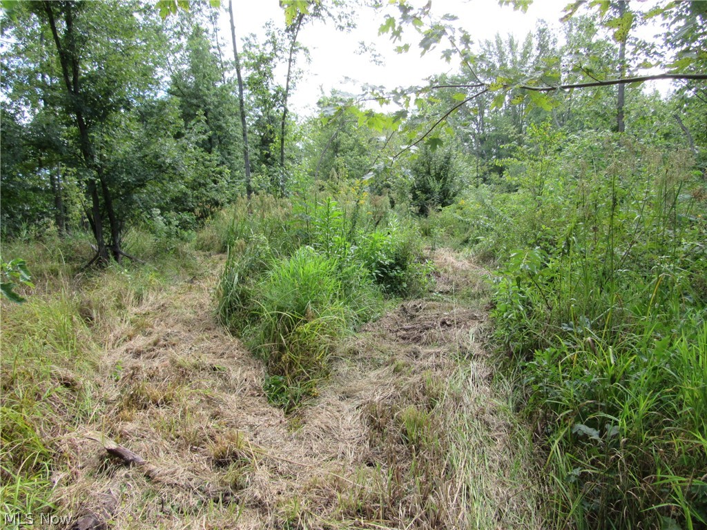 Township/Champion Sec 109 Orig - Land