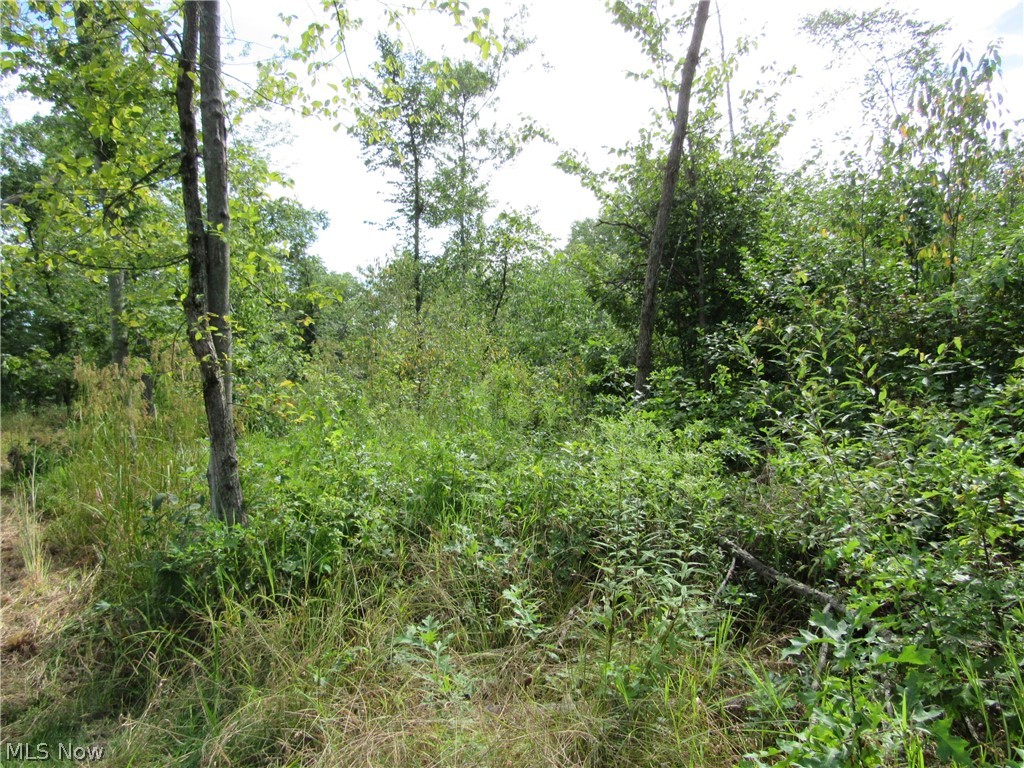 Township/Champion Sec 109 Orig - Land