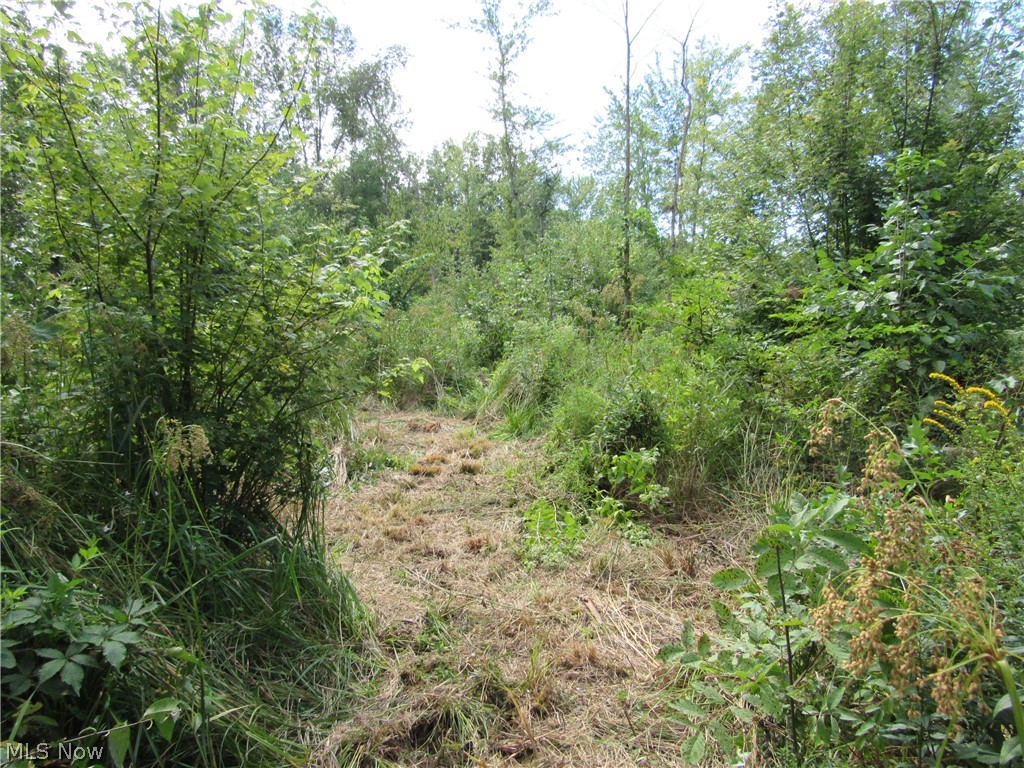 Township/Champion Sec 109 Orig - Land