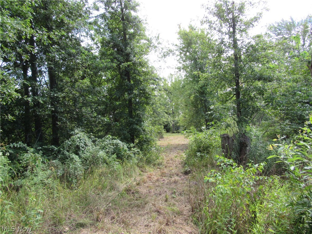 Township/Champion Sec 109 Orig - Land