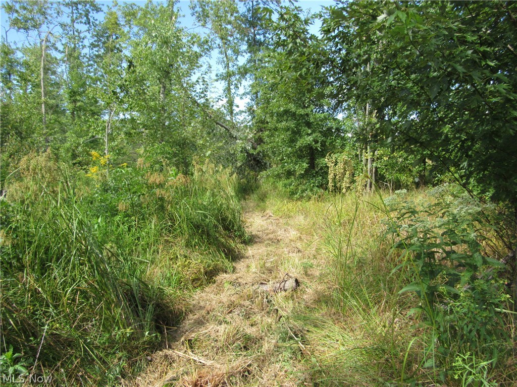 Township/Champion Sec 109 Orig - Land