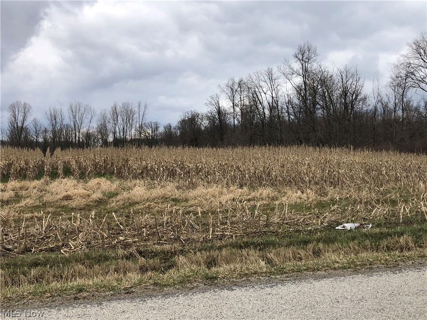 A beautiful 9.106 acre vacant lot, partially wooded, and ready for you to call home!