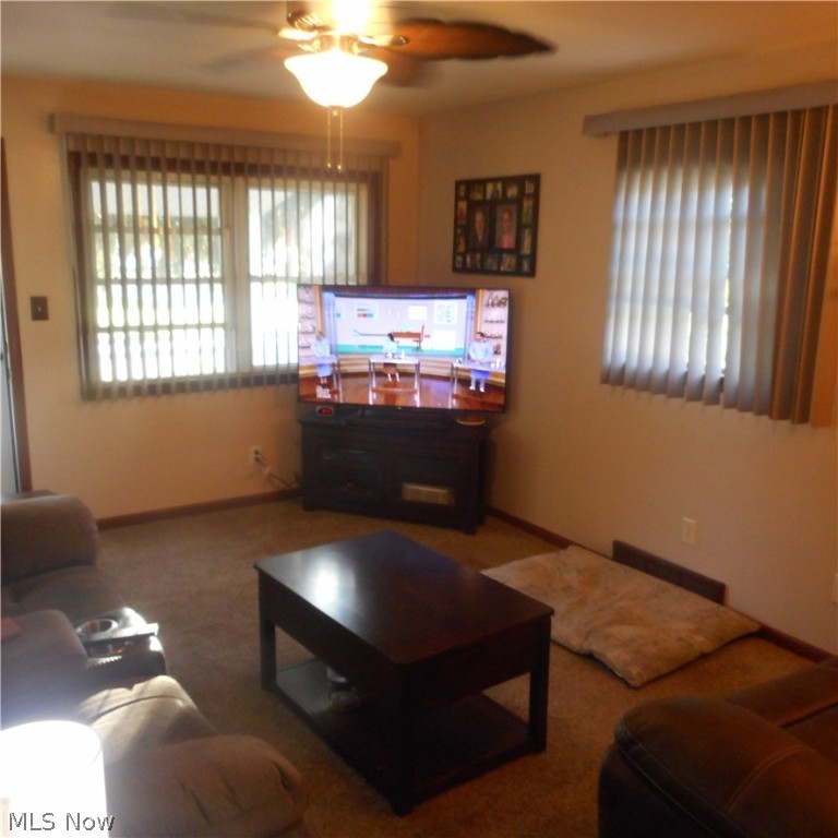 Wickliffe Broadview - Residential