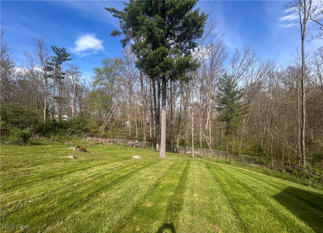 3013 Whispering Pines Drive, Canfield, Ohio image 28