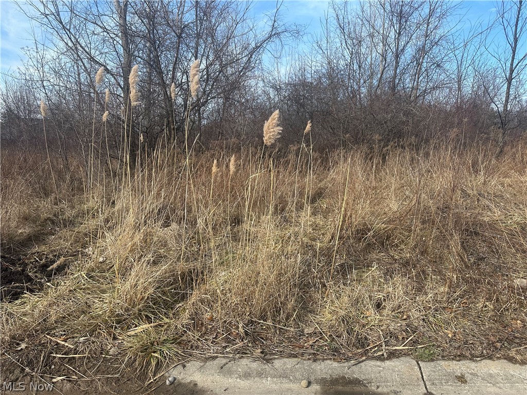 Villas At Martins Run Sub - Land
