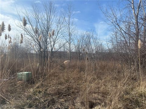 Vacant Land For Sale - Charles Drive<br/> Lorain, OH 44053
