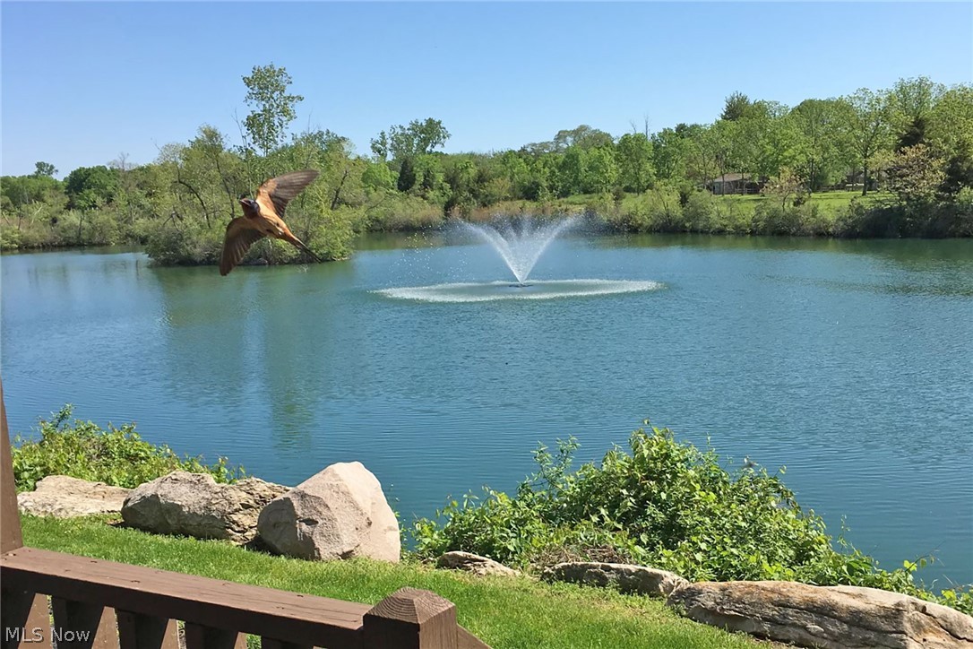 Kelleys Island Quarry Condo - Residential