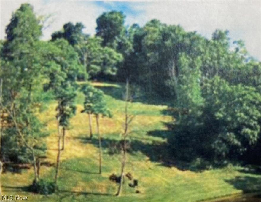 Partially wooded “corner” lot in Phase III Skyview Pointe Development. Quiet “country” setting with city living convenience. Lot dimensions appromately 132.37 x 142.52 x 199 x 245.24.  Plat recorded 7/11/2023 Book 3 Page 650. LIST AGENT IS ALSO AN OWNER.