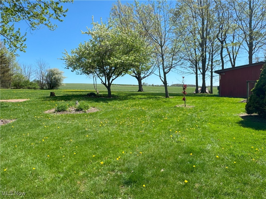 4175 E Middletown Road, New Middletown, Ohio image 7