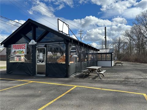 Vacant Land For Sale - 3405 Mahoning Avenue<br/> Trumbull County, Warren, OH 44483