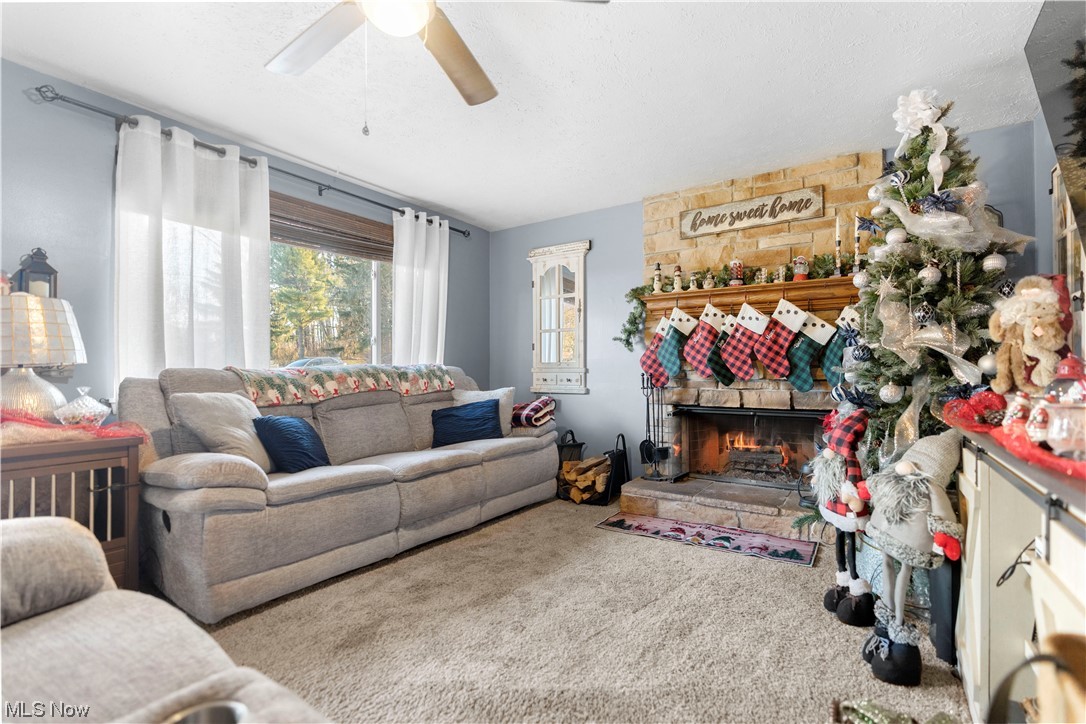 Moore Allotment 01 - Residential