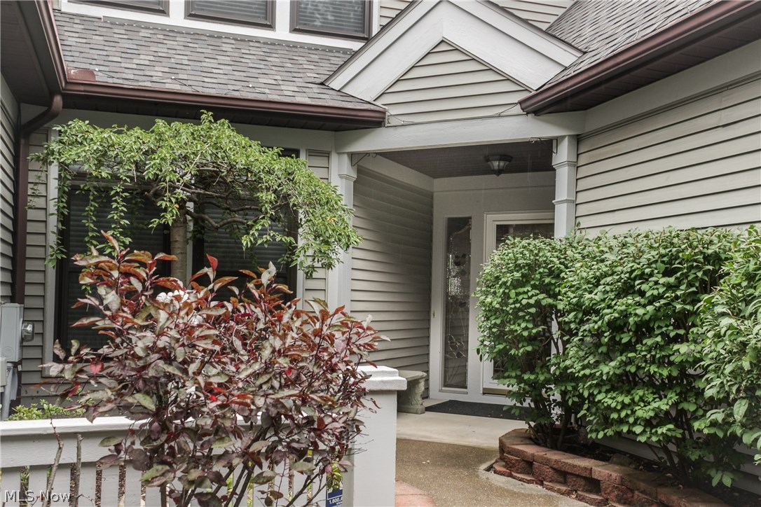 Forest Cove East Condo - Residential